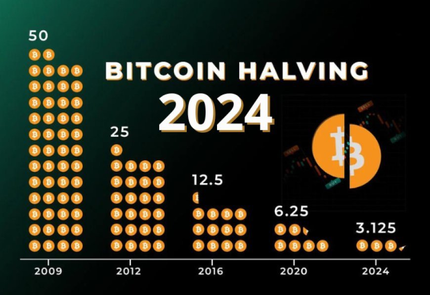 Биткойн вдвое сократится в 2024 году: чего ожидать?
